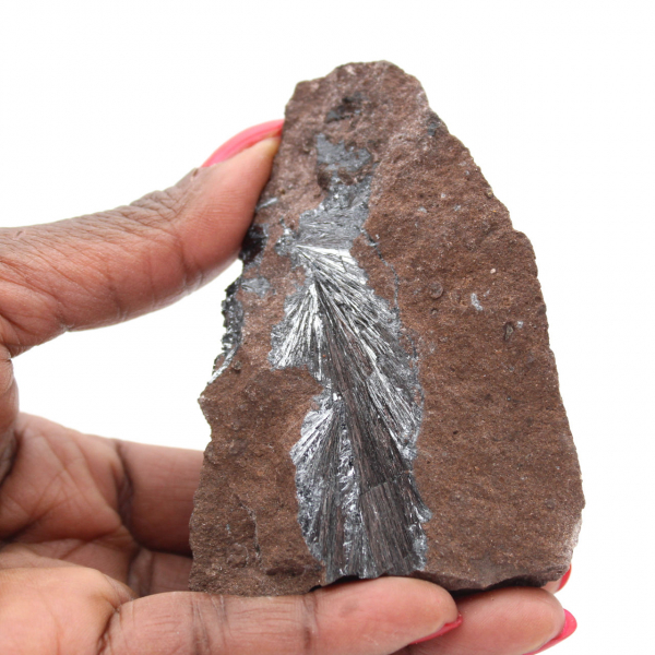 Authentique Pyrolusite en Cristaux sur Matrice