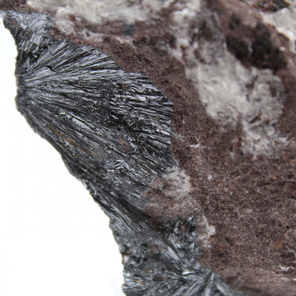 Cristaux de Pyrolusite sur Gangue, Roche Naturelle