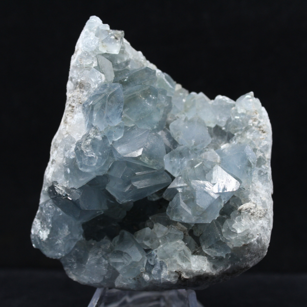 Grande Druse de Célestine de Madagascar