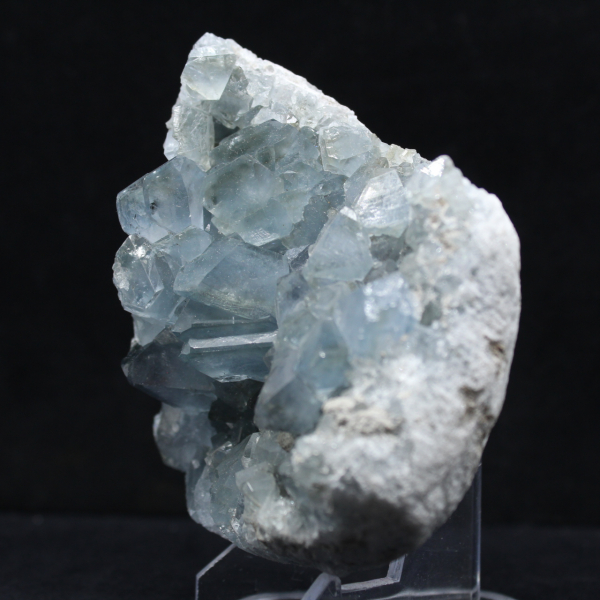 Grande Druse de Célestine de Madagascar