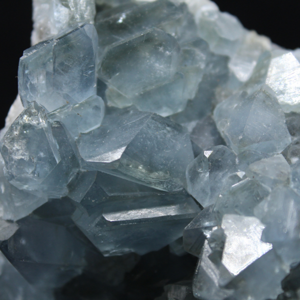 Grande Druse de Célestine de Madagascar