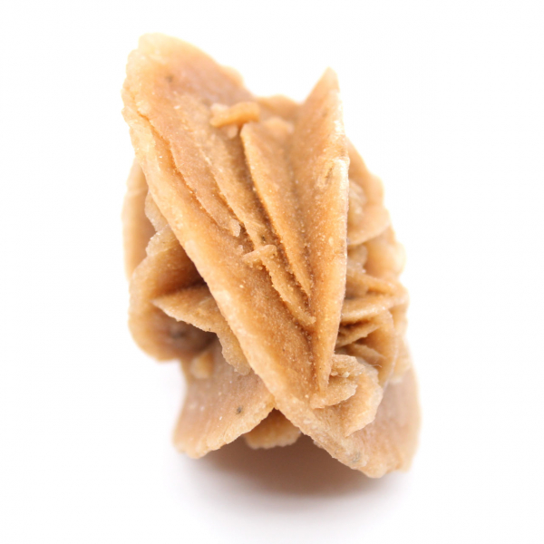 Rose des sables du désert marocain : objet de décoration brute