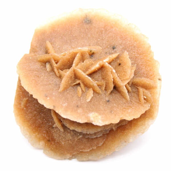 Rose des sables du désert marocain : objet de décoration brute