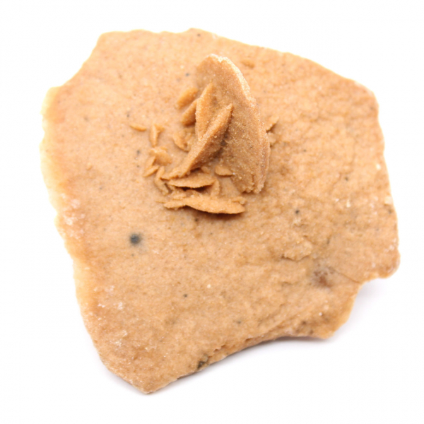 Petite Rose des sables du Maroc : fragment géologique naturel