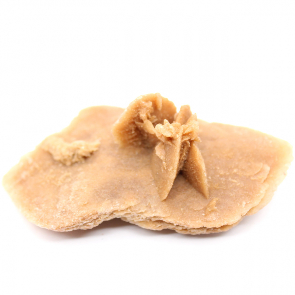 Petite Rose des sables du Maroc : fragment géologique naturel