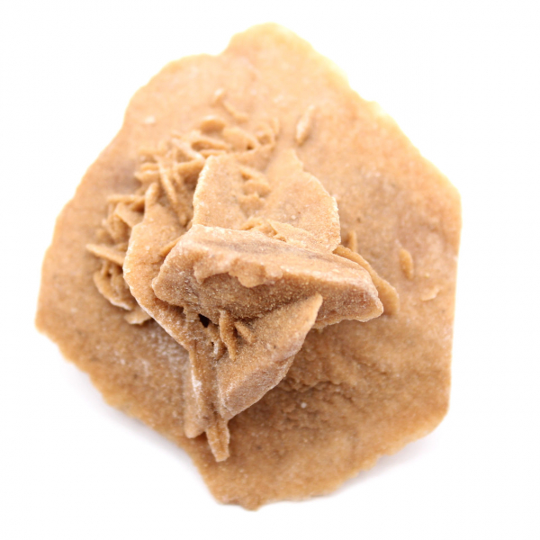 Petite Rose des sables du Maroc : fragment géologique naturel