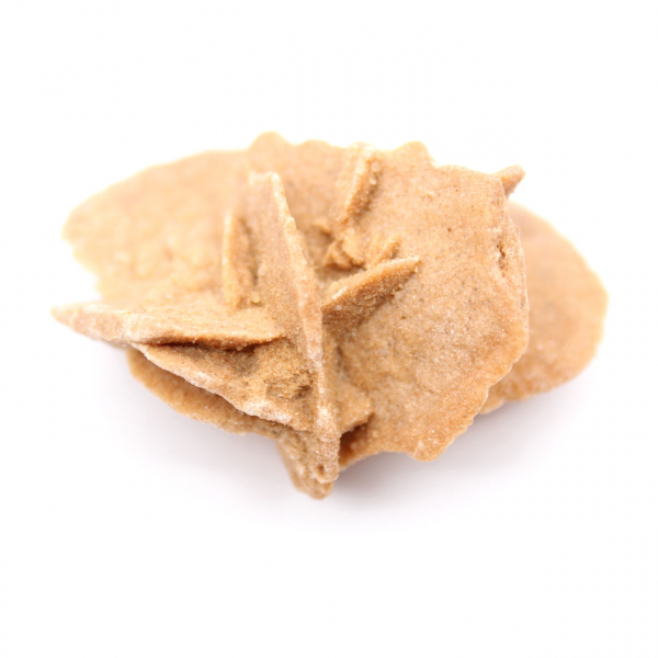 Mini Rose des sables marocaine : spécimen de gypse naturel