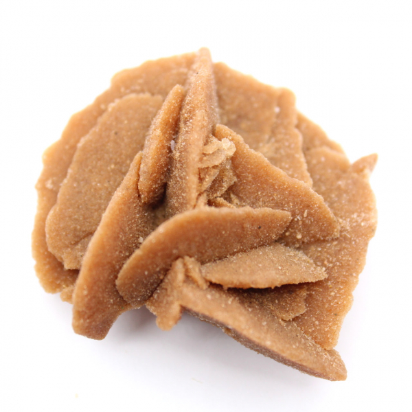 Petit fragment de Rose des sables : minéral du Maroc