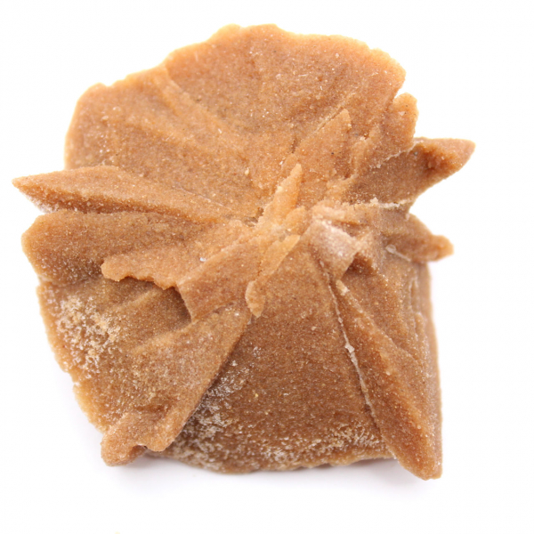 Petit fragment de Rose des sables : minéral du Maroc