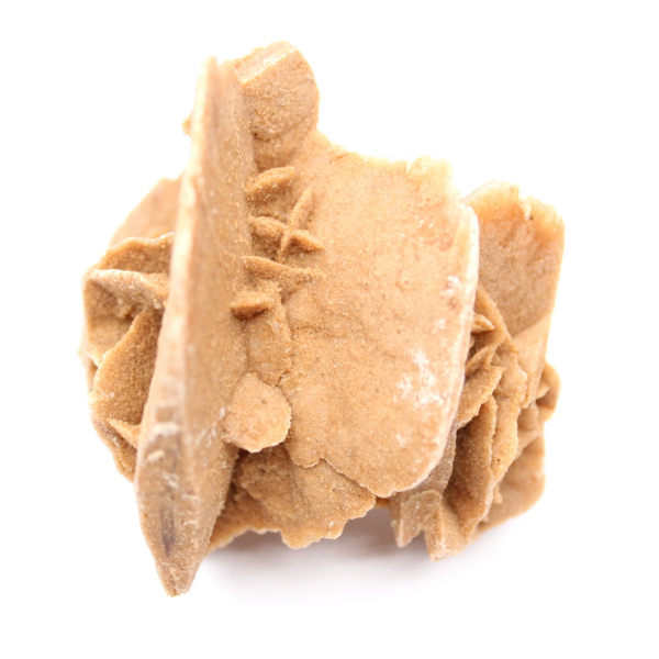 Petite Rose des sables du Maroc : fragment géologique naturel