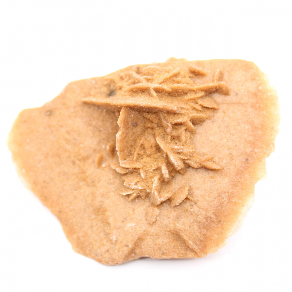 Légère Rose des sables du Maroc : cristallisation fine