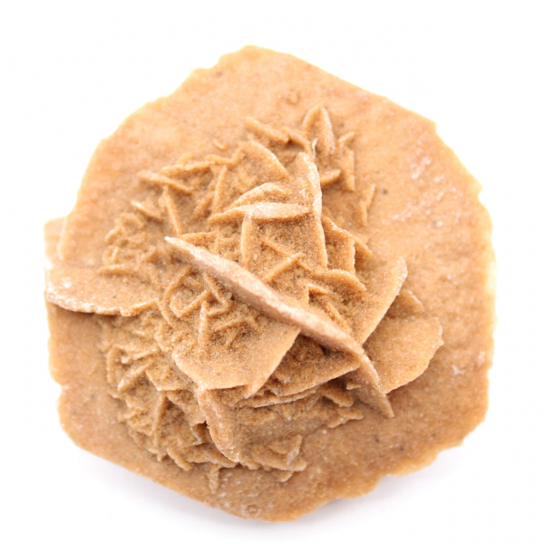 Petite Rose des sables du Maroc : fragment géologique naturel