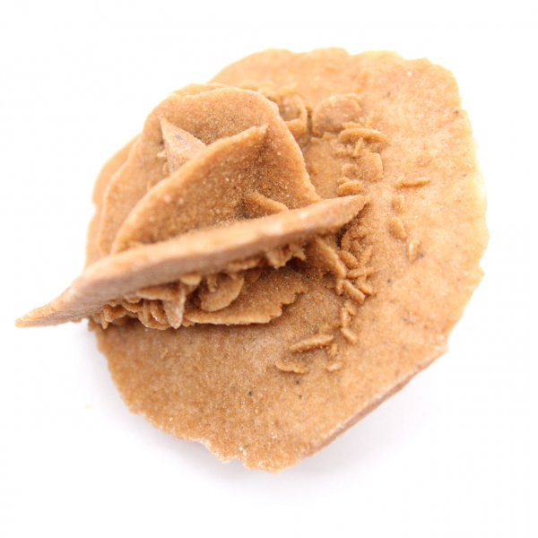 Rose des sables marocaine : gypse naturel et esthétique