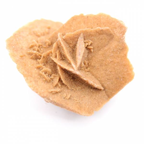 Rose des sables marocaine : gypse naturel et esthétique