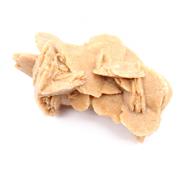 Spécimen de gypse cristallisé : Rose des sables du Maroc