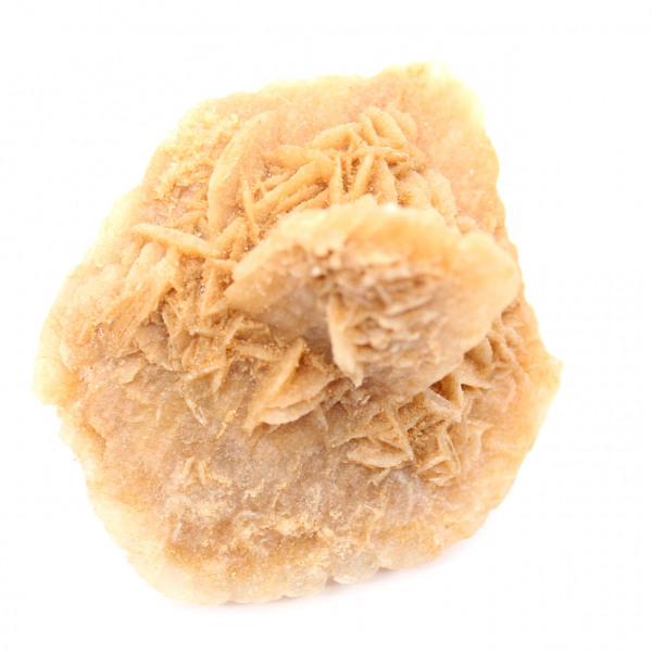 Rose des sables du Maroc : rosette de collection massive