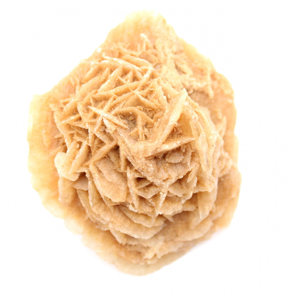 Rose des sables du Maroc : rosette de collection massive