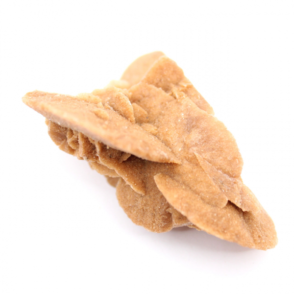 Petite Rose des sables marocaine : éclat du gypse naturel