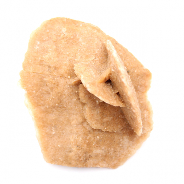 Rosette minérale du Maroc : cristallisation de gypse