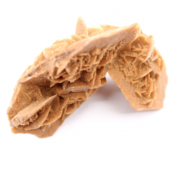 Rose des sables du Maroc : cristal de gypse substantiel