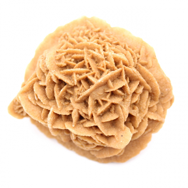 Spécimen de Rose des sables du Maroc : cristallisation dense