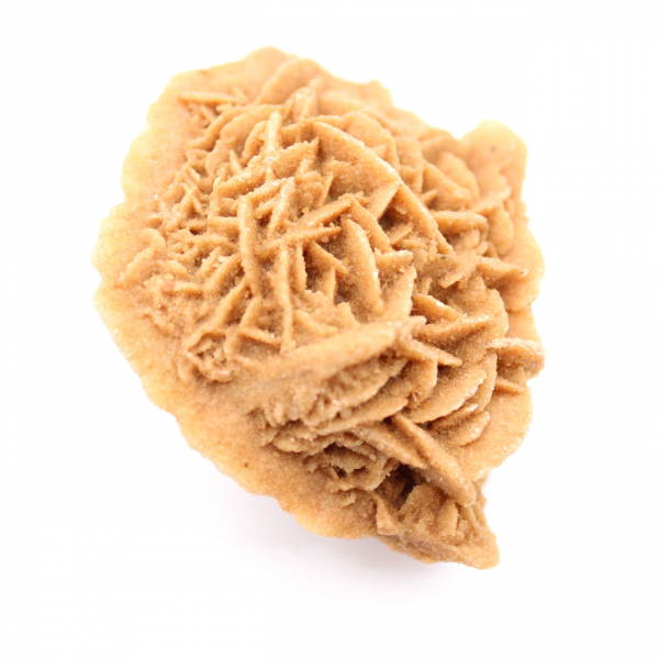 Spécimen de Rose des sables du Maroc : cristallisation dense