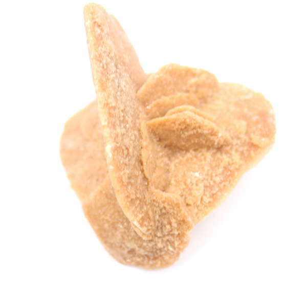 Rose des sables du Maroc : finesse des cristaux de gypse