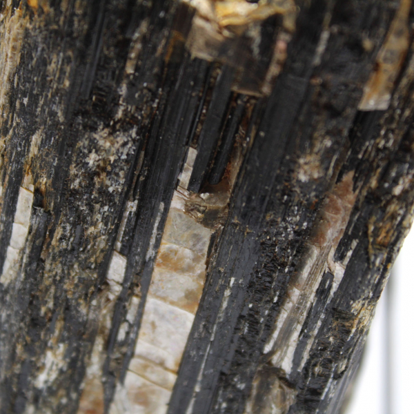 Roche de Tourmaline Noire - Spécimen de Collection Madagascar