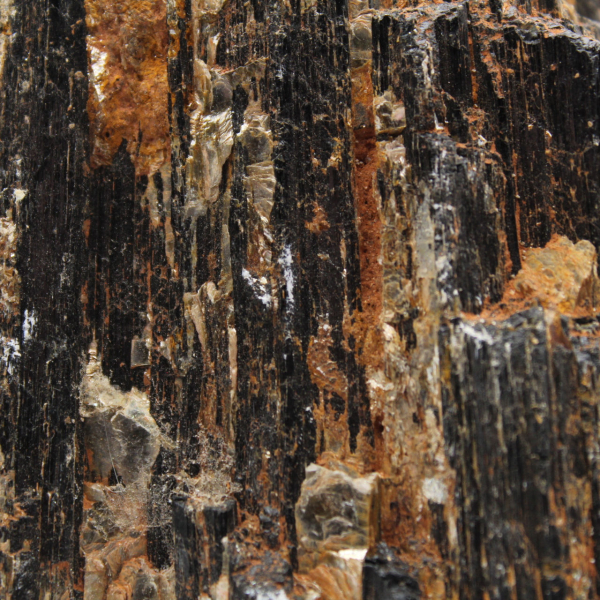 Tourmaline Noire de Madagascar - Cristal Brut Compact