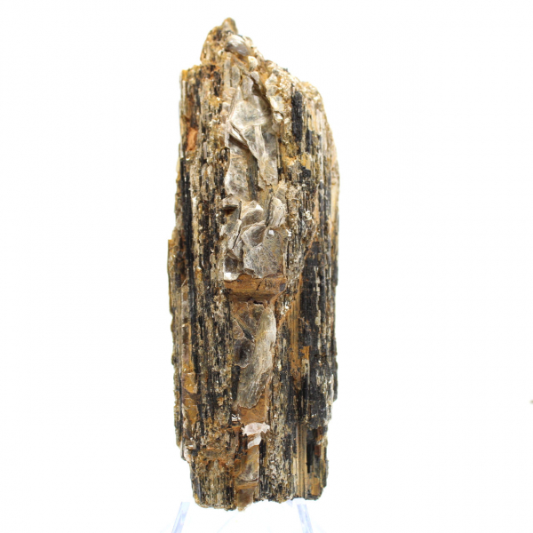 Petit Spécimen de Tourmaline Noire - Madagascar