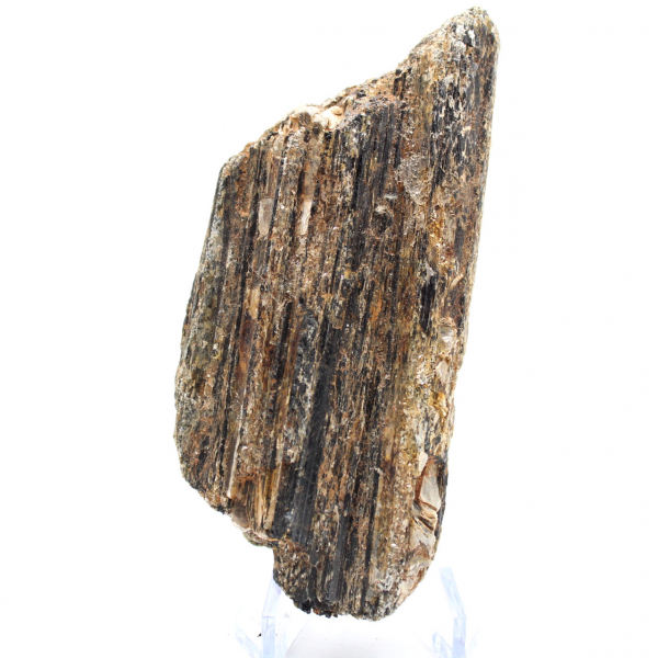 Tourmaline Noire de Madagascar - Spécimen d'Étude