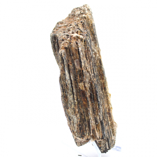 Tourmaline Noire de Madagascar - Spécimen d'Étude