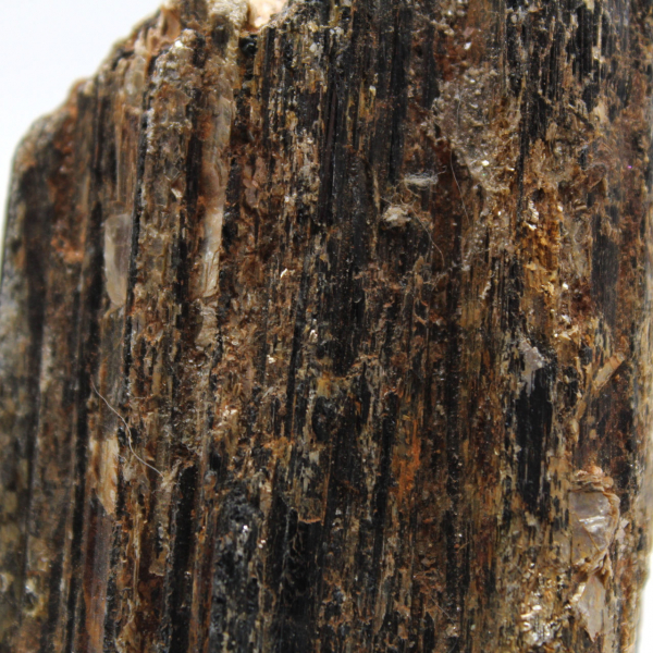 Tourmaline Noire de Madagascar - Spécimen d'Étude