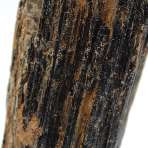 Tourmaline Noire Brute de Madagascar - Roche de Table