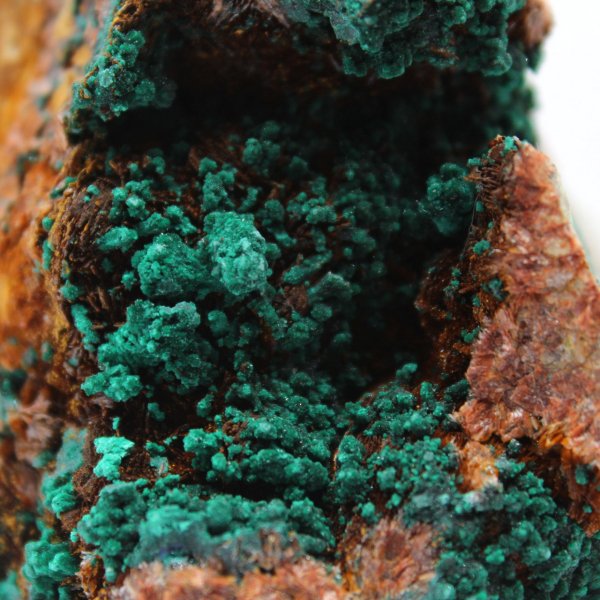 Azurite et Malachite du Maroc