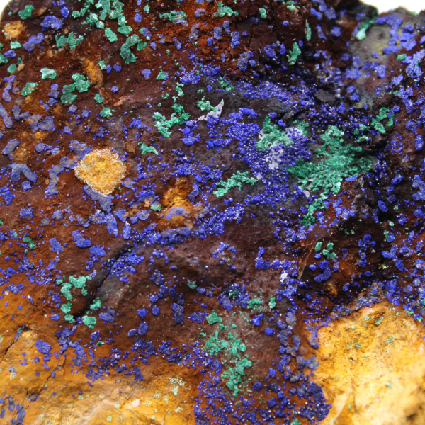 Spécimen Malachite Azurite Maroc