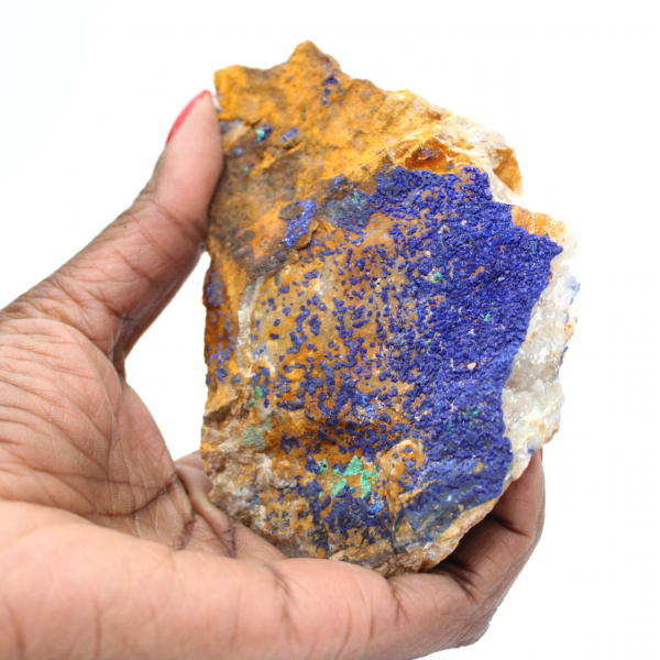 Spécimen bicolore Azurite Malachite