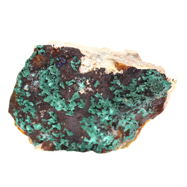 Azurite Malachite sur gangue