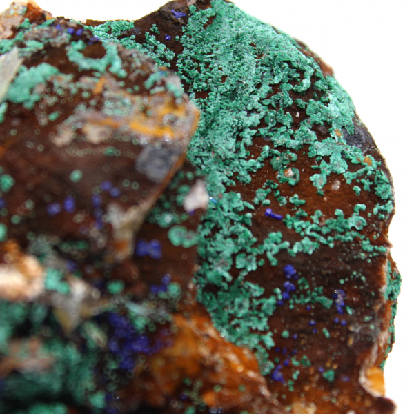 Duo Azurite Malachite sur gangue