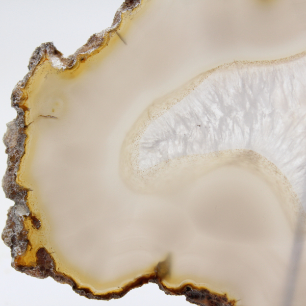 Tranche d'Agate naturelle du Brésil