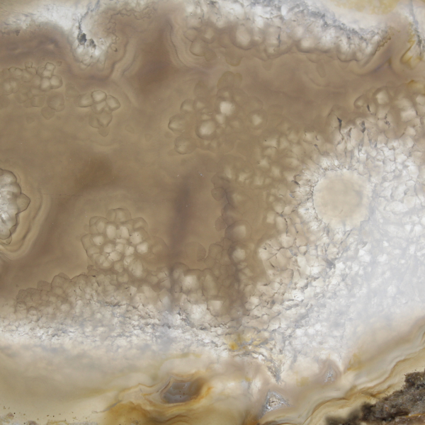 Tranche de géode d'Agate brésilienne