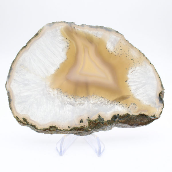 Plaque de Calcédoine Agatisée