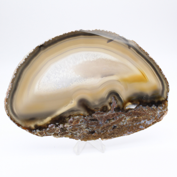 Objet de collection : Agate polie