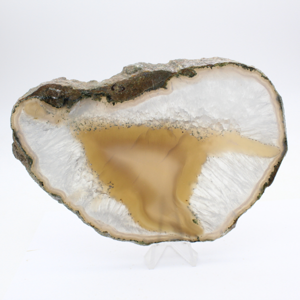 Tranche d'Agate aux rubans denses