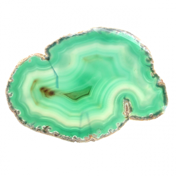 Agate du Brésil en section verte – Collection 210 g