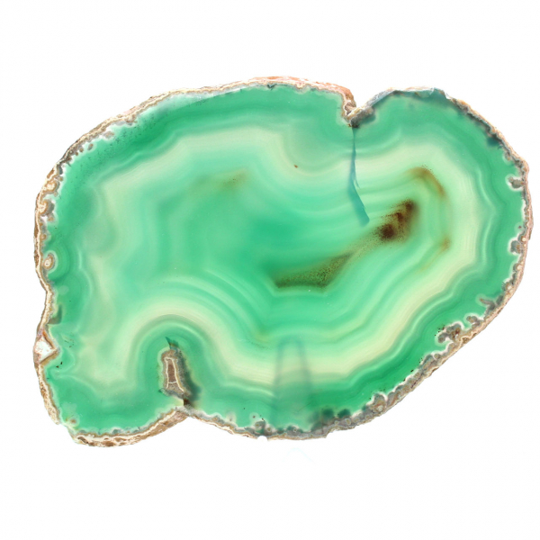 Agate du Brésil en section verte – Collection 210 g