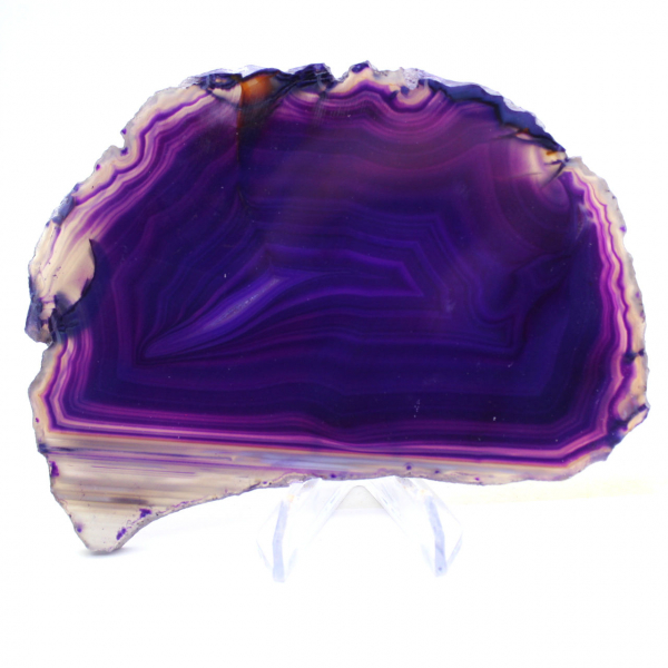 Tranche d'Agate Violette : Pierre de Collection du Brésil