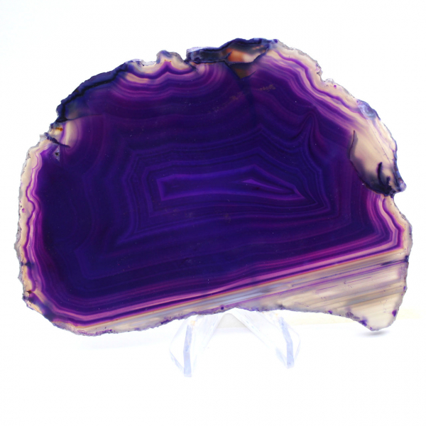 Tranche d'Agate Violette : Pierre de Collection du Brésil