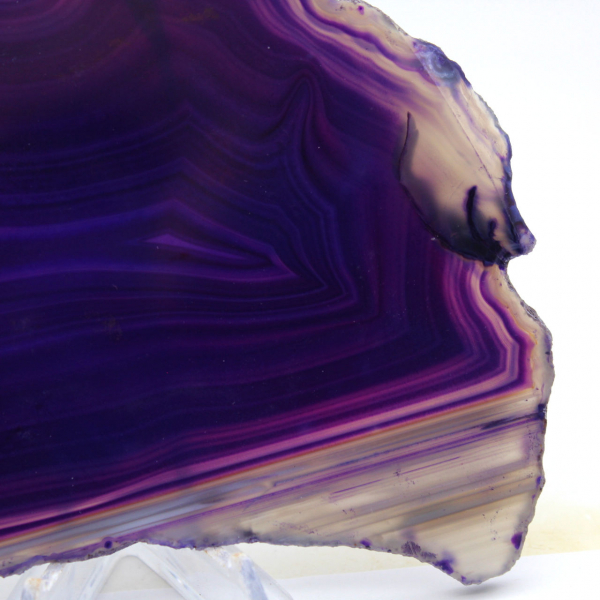 Tranche d'Agate Violette : Pierre de Collection du Brésil