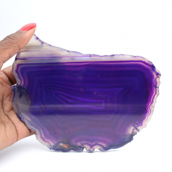 Tranche d'Agate Violette : Pierre de Collection du Brésil